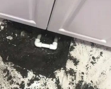 辛集查漏水哪家好