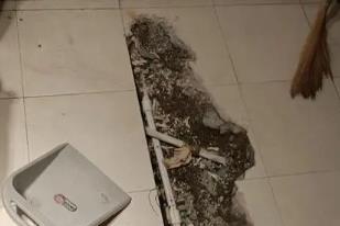辛集卫生间漏水检测电话
